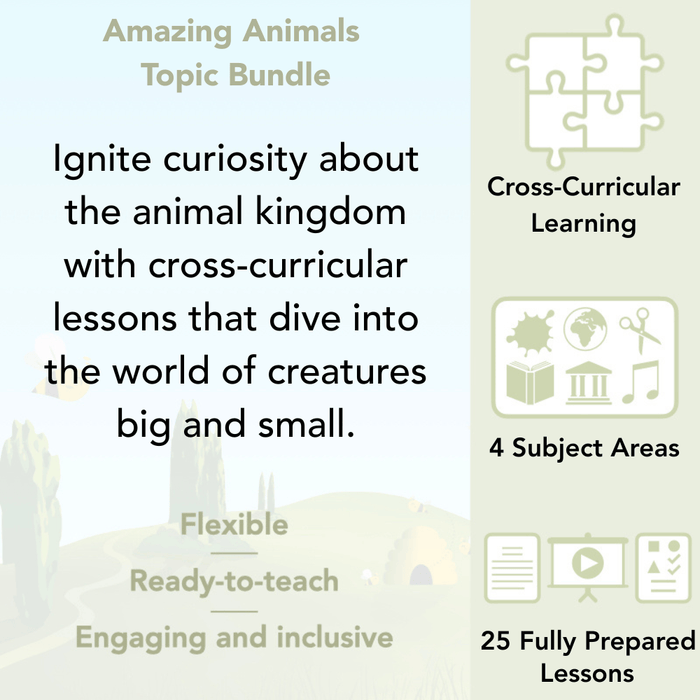 PlanBee Amazing Animals KS1 Topic Bundle by PlanBee