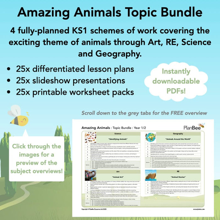 PlanBee Amazing Animals KS1 Topic Bundle by PlanBee