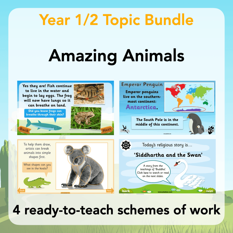 PlanBee Amazing Animals KS1 Topic Bundle by PlanBee