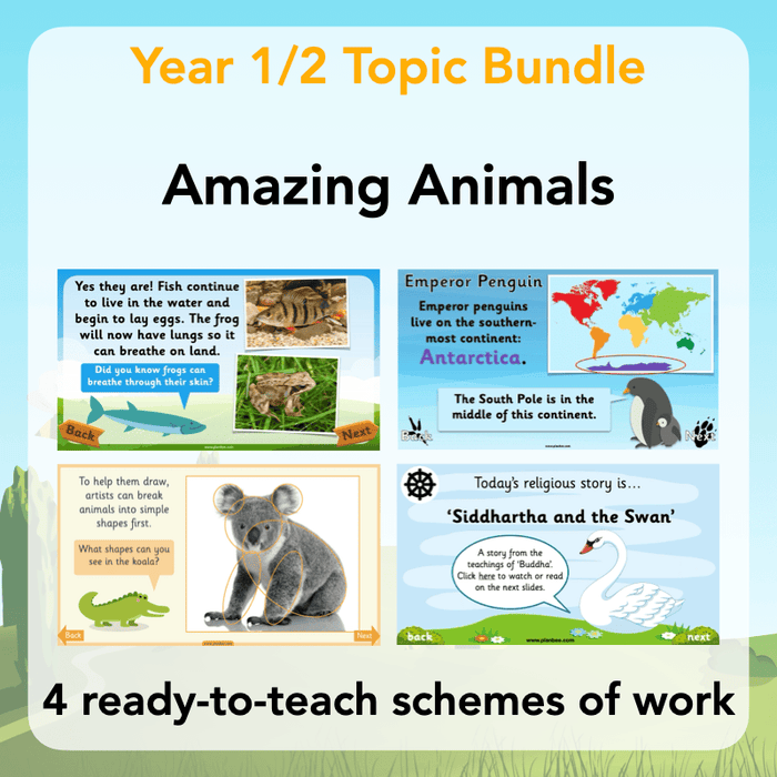 PlanBee Amazing Animals KS1 Topic Bundle by PlanBee