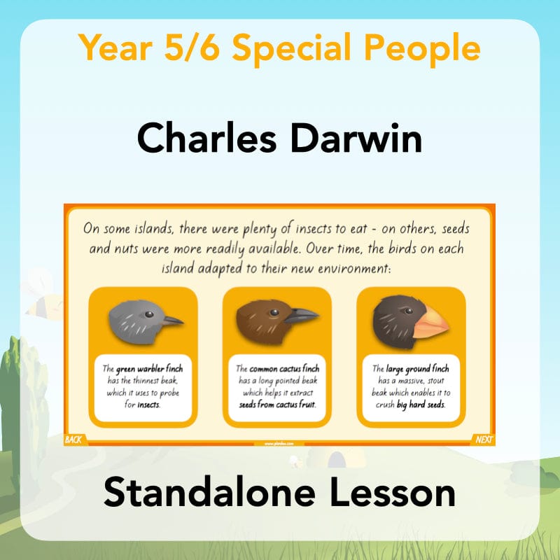 PlanBee Charles Darwin KS2 Lesson Pack