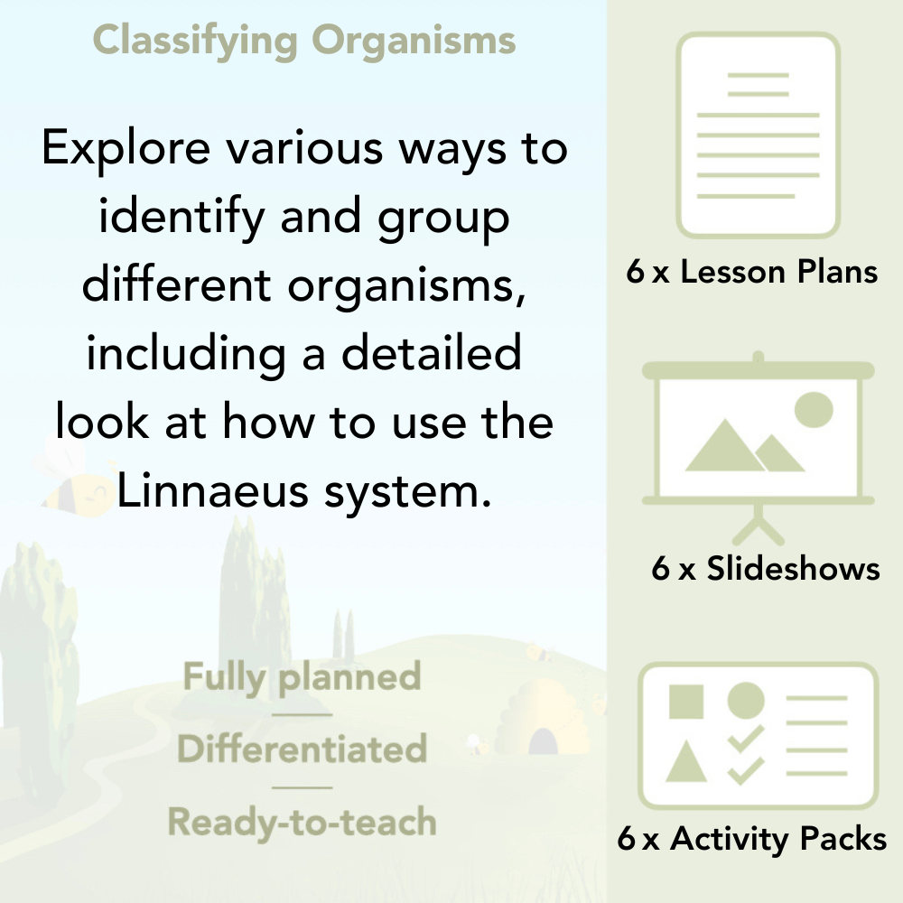 PlanBee Living Things and their Habitats Year 6 Science by PlanBee