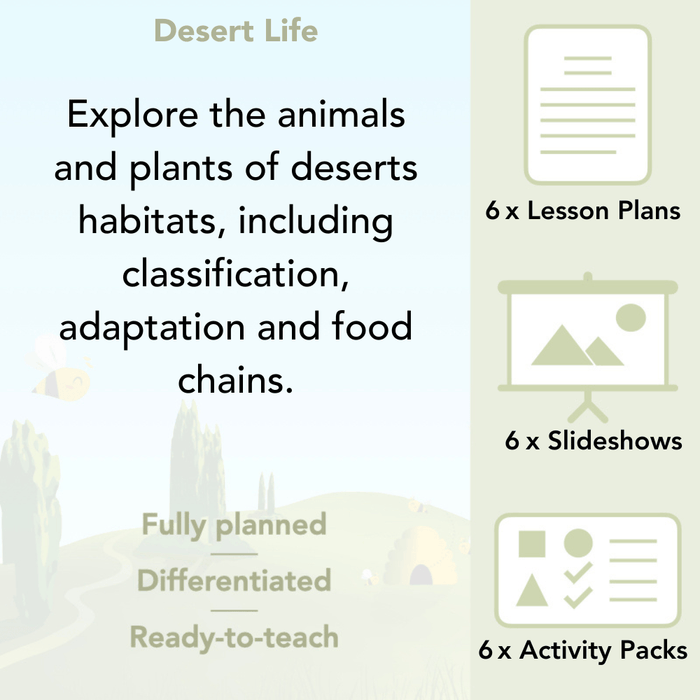 PlanBee Desert Habitat KS2 Science Lessons by PlanBee