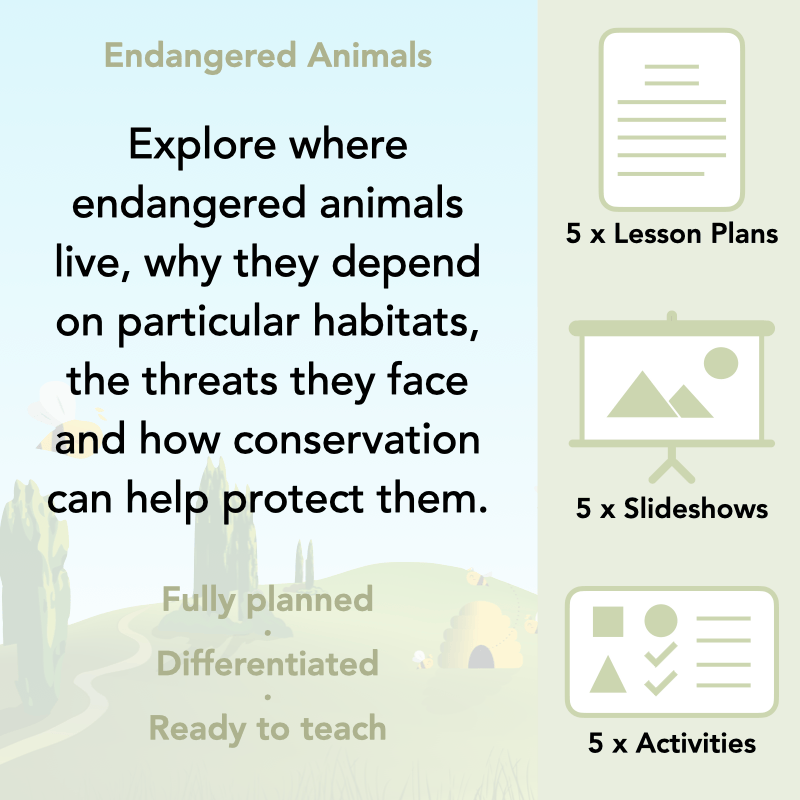 Endangered Animals