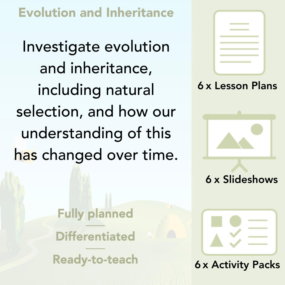 PlanBee Year 6 Evolution and Inheritance KS2 | Science from PlanBee