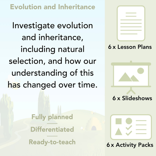 PlanBee Year 6 Evolution and Inheritance KS2 | Science from PlanBee
