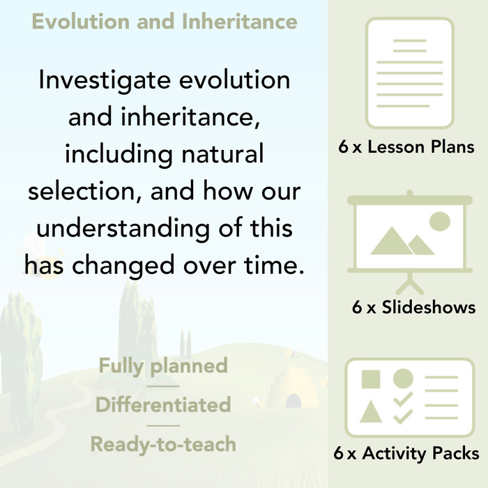 PlanBee Year 6 Evolution and Inheritance KS2 | Science from PlanBee