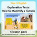 PlanBee Explanation Texts: How to Mummify a Tomato | KS2 English