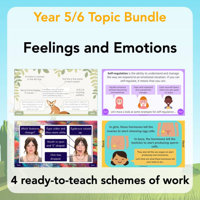 PlanBee Feelings and Emotions KS2 Topic | PlanBee