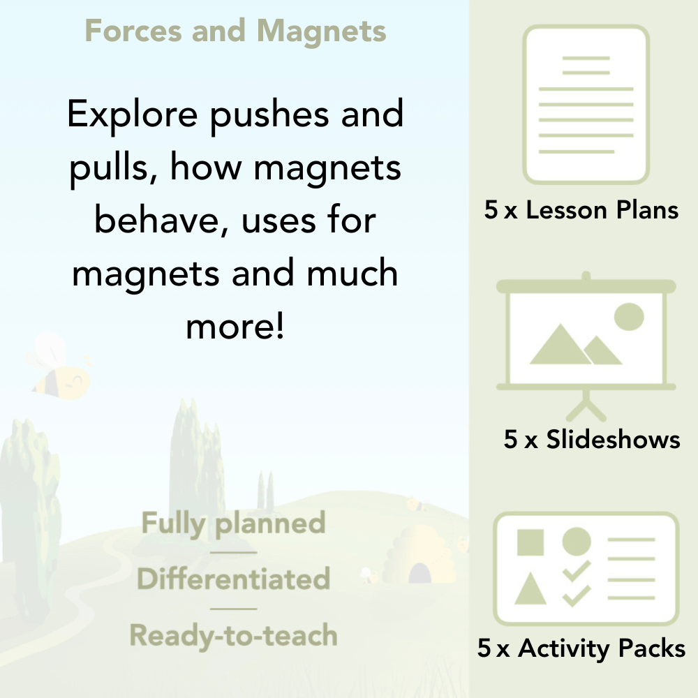 PlanBee Forces and Magnets Year 3 Planning 