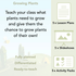 PlanBee Growing Plants KS1 Plants Year 2 Science Resources | PlanBee