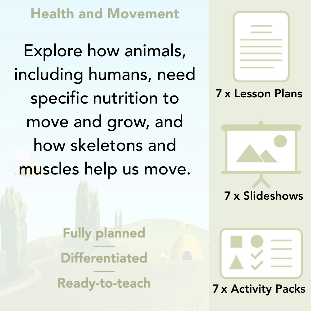 PlanBee Animals Including Humans Year 3 Science Lessons by PlanBee