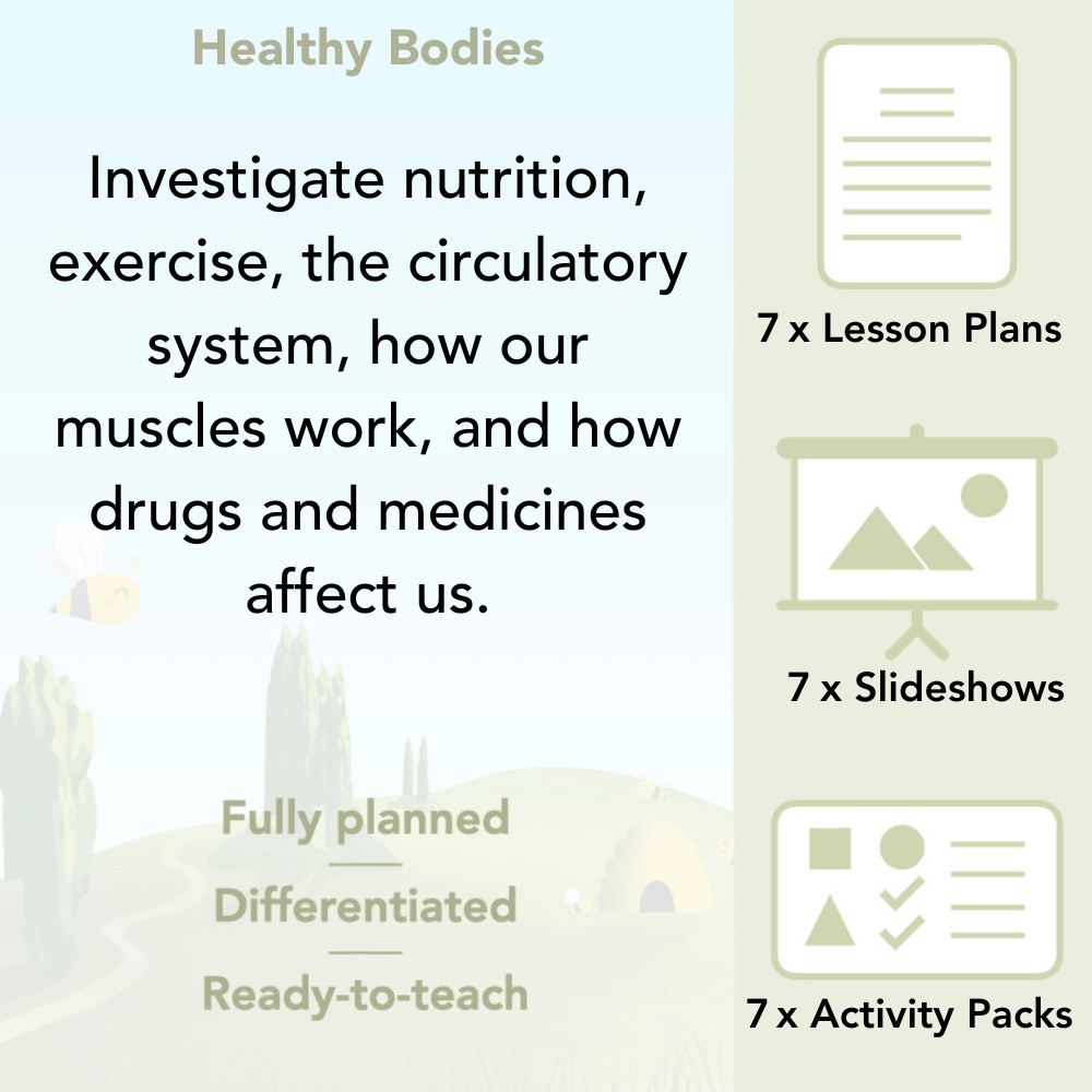 PlanBee Healthy Bodies Year 6 Animals including Humans by PlanBee