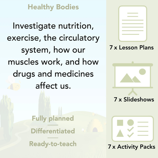 PlanBee Healthy Bodies Year 6 Animals including Humans by PlanBee