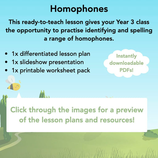 PlanBee Homophones KS2 | Year 3 English Lesson Pack