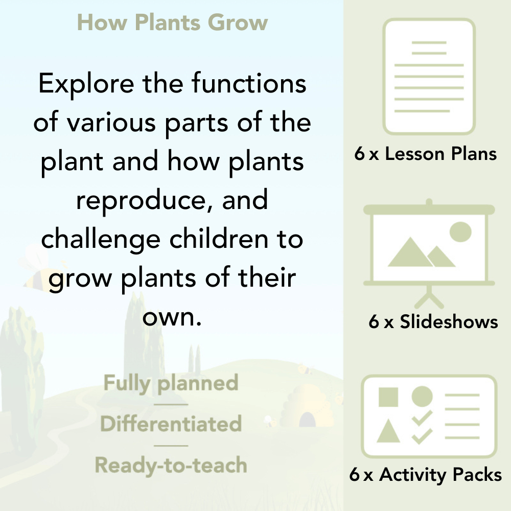 PlanBee Plants Year 3 Planning Pack | Year 3 Science Plants Lessons