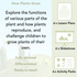 PlanBee Plants Year 3 Planning Pack | Year 3 Science Plants Lessons
