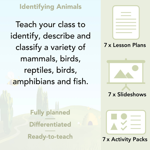 PlanBee Animals Year 1 | Science Lessons KS1 by PlanBee