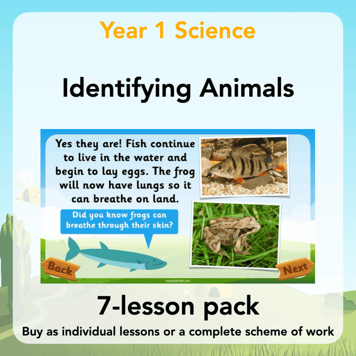 PlanBee Animals Year 1 | Science Lessons KS1 by PlanBee
