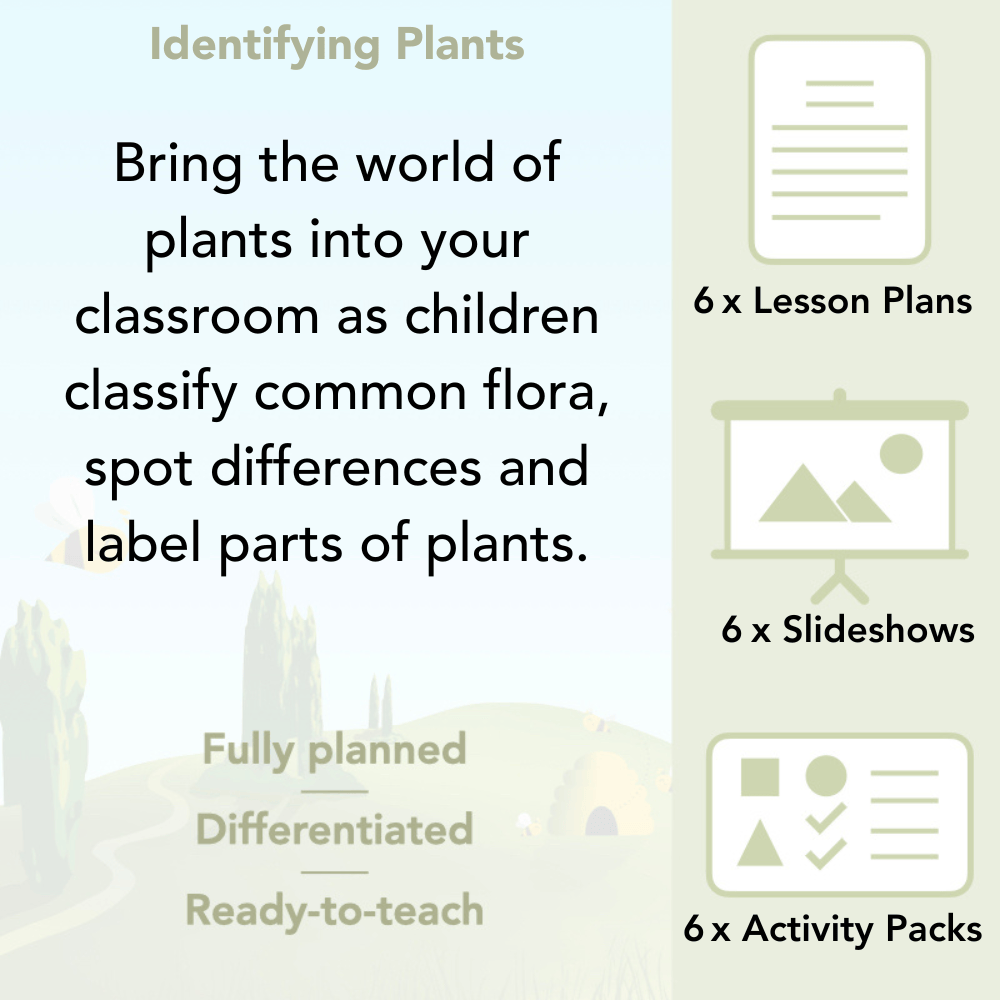 PlanBee Identifying Plants Year 1 | KS1 Plants Lessons | PlanBee