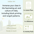 PlanBee Indian Art KS2 Lesson Planning Packs for Year 3/4 by PlanBee