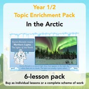 PlanBee In the Arctic Topic KS1 Enrichment Lesson Pack