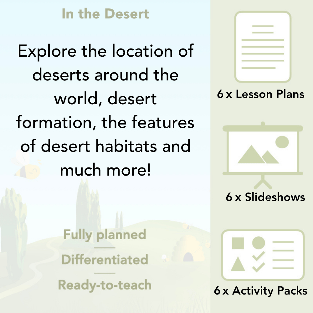 PlanBee In the Desert KS2 Geography Lesson Pack