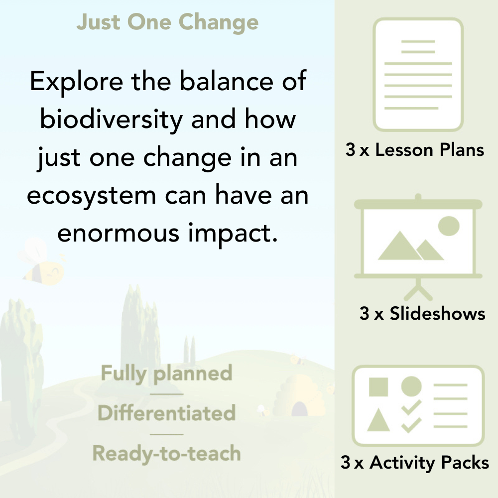 PlanBee Biodiversity and Conservations lessons for KS2 by PlanBee