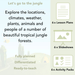 PlanBee Tropical Jungle Activities for KS1 Geography by PlanBee
