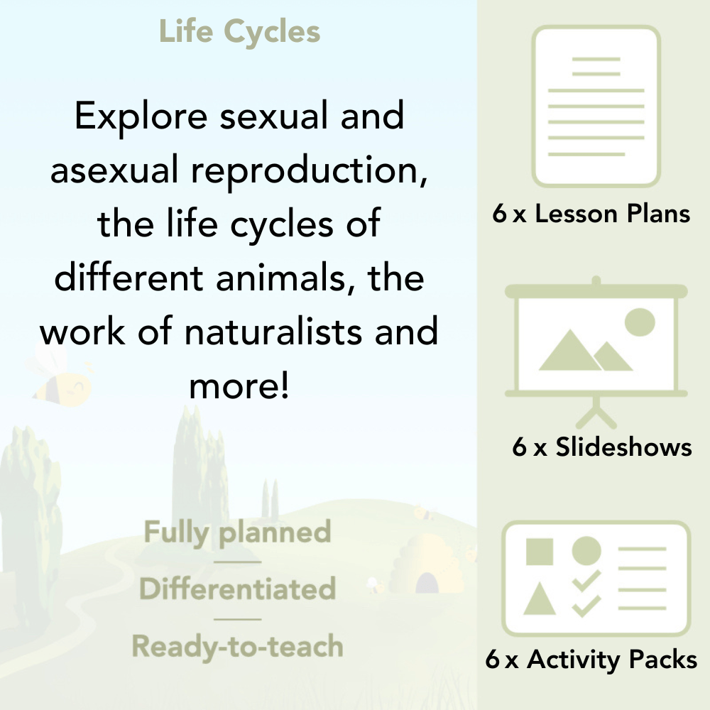 PlanBee Living Things and Habitats Life Cycles KS2 Science PlanBee