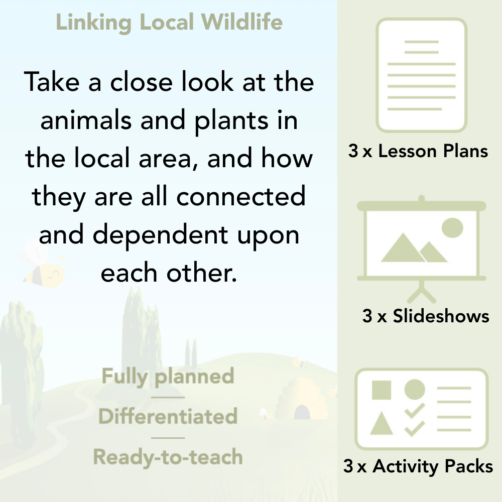 PlanBee Biodiversity KS1 Linking Local Wildlife ESR Lessons by PlanBee