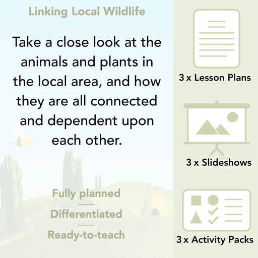 PlanBee Biodiversity KS1 Linking Local Wildlife ESR Lessons by PlanBee