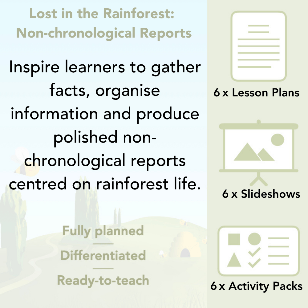 PlanBee Lost in the Rainforest: Non chronological Reports Year 3