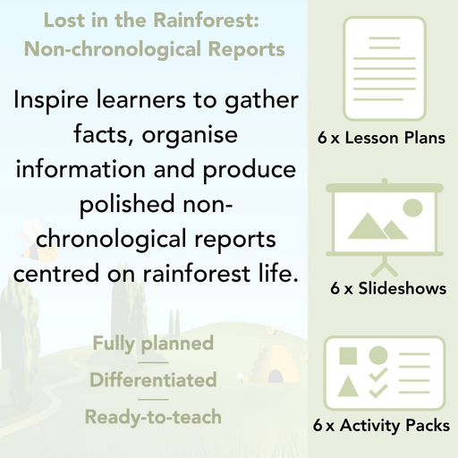 PlanBee Lost in the Rainforest: Non chronological Reports Year 3
