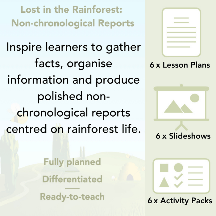 PlanBee Lost in the Rainforest: Non chronological Reports Year 3