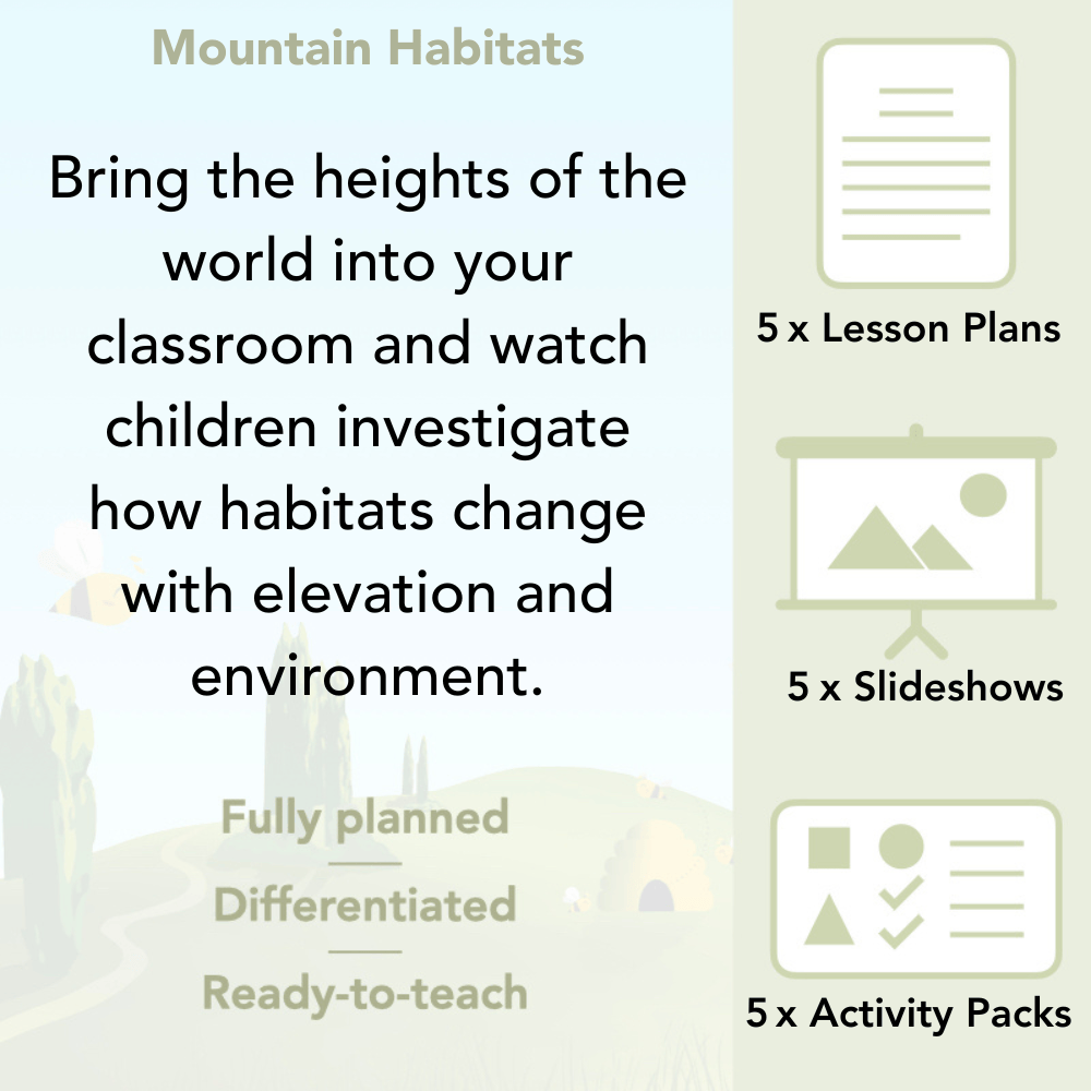 PlanBee Mountain Science KS2 | Food Chains, Adaptation & Life Cycles