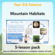 PlanBee Mountain Science KS2 | Food Chains, Adaptation & Life Cycles