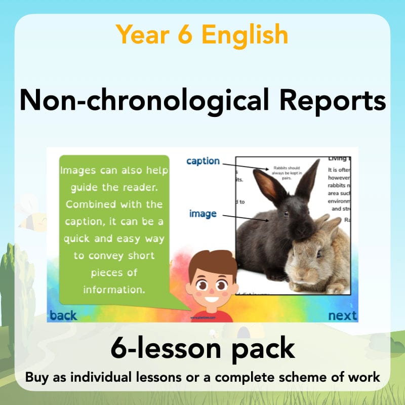PlanBee Non-chronological Reports Year 6 English Planning