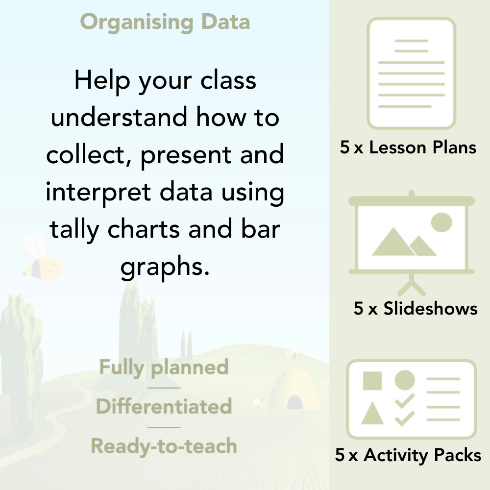PlanBee Year 3 Statistics Organising Data PlanBee Maths Lesson