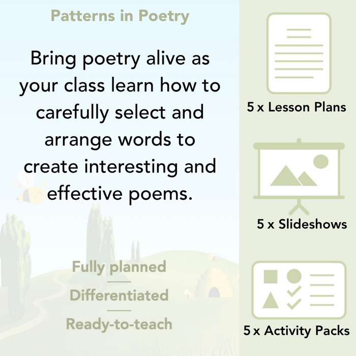 PlanBee Year 3 Patterns in Poetry | Investigating Types of Poems