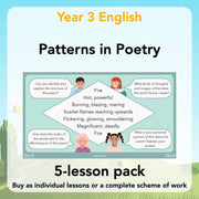 PlanBee Year 3 Patterns in Poetry | Investigating Types of Poems