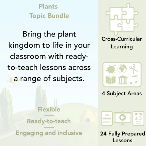 PlanBee KS2 Plants Topic Lesson Planning Pack