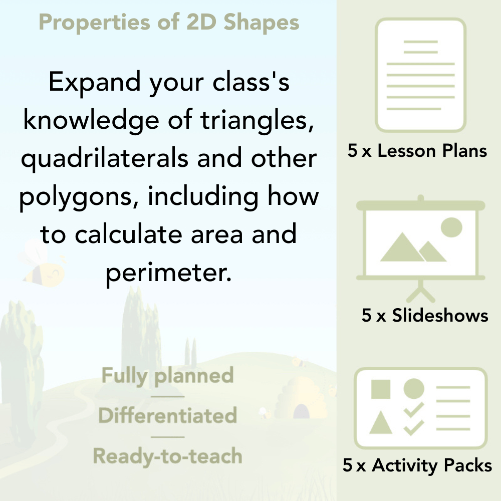 PlanBee Year 4 Properties of 2D Shapes KS2 Maths by PlanBee