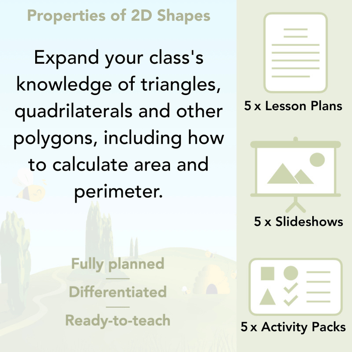 PlanBee Year 4 Properties of 2D Shapes KS2 Maths by PlanBee