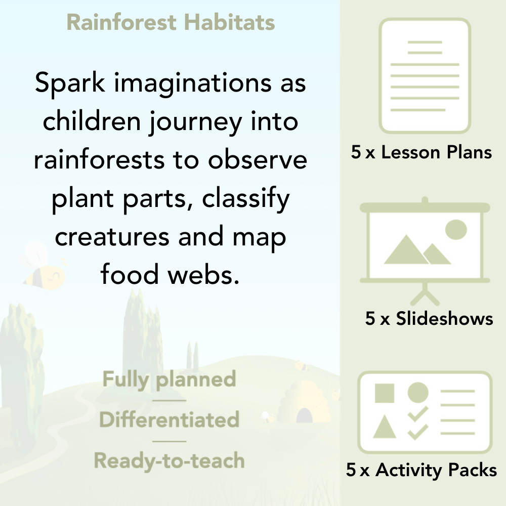PlanBee Rainforest Habitats KS2 Science Lesson Pack