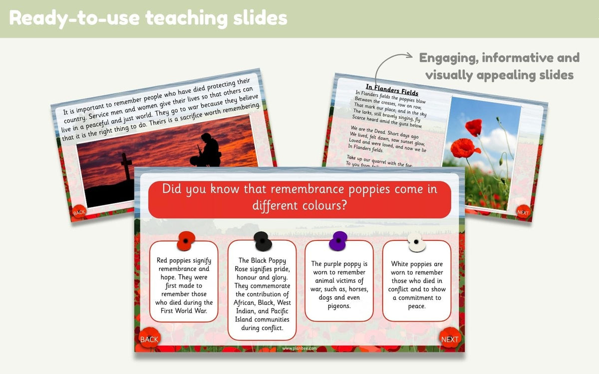 PlanBee Remembrance Day KS1 | Year 2 History Lessons