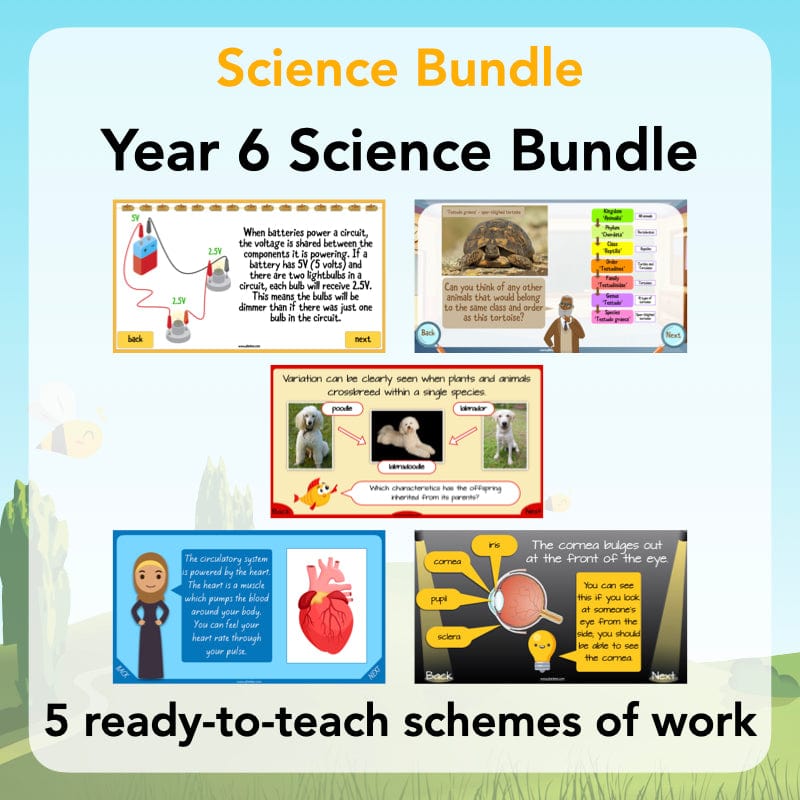 PlanBee Year 6 Science Bundle | Fully Prepared