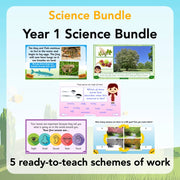 PlanBee Year 1 Science Bundle
