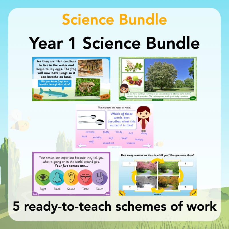 PlanBee Year 1 Science Bundle