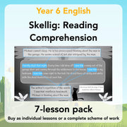 PlanBee Skellig: Reading Comprehension